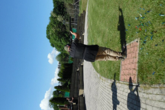 SAM_6020