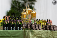 20250905_193415_A0_03298-De