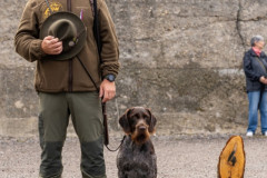 20250906_081346_A2_06768-De