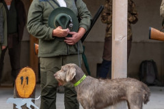 20250906_081507_A2_06942-De