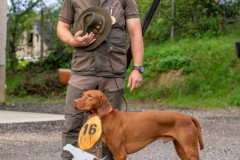 20250906_081547_A2_07053-De