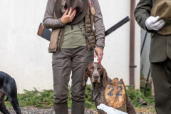 20250906_081602_A2_07079-De