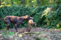 20250907_083423_A1_00536-De