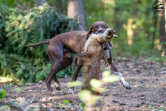 20250907_083435_A1_00538-De