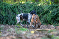 20250907_083612_A1_00541-De