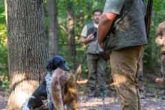 20250907_083620_A1_00543-De