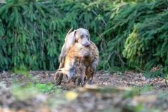 20250907_083747_A1_00546-De