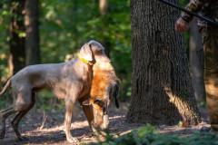 20250907_083751_A1_00547-De