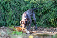 20250907_083939_A1_00553-De