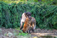 20250907_083942_A1_00556-De