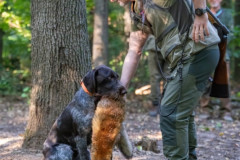 20250907_083952_A1_00560-De