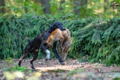 20250907_084113_A1_00584-De