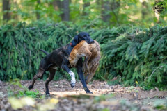 20250907_084113_A1_00585-De