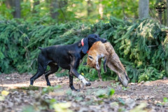 20250907_084113_A1_00601-De