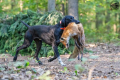 20250907_084114_A1_00621-De