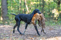 20250907_084115_A1_00661-De