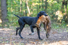 20250907_084115_A1_00663-De