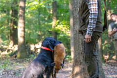 20250907_084120_A1_00671-De