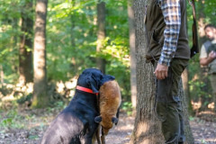 20250907_084120_A1_00672-De