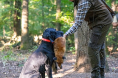 20250907_084121_A1_00680-De