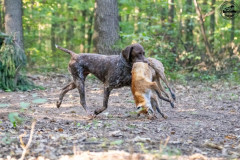 20250907_084240_A1_00757-De