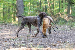 20250907_084241_A1_00763-De