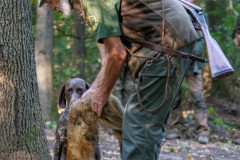 20250907_084244_A1_00803-De