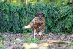 20250907_084351_A1_00851-De