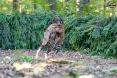 20250907_084352_A1_00861-De