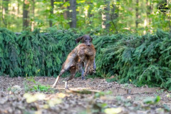 20250907_084352_A1_00863-De