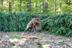 20250907_084352_A1_00864-De