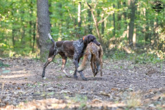 20250907_084355_A1_00927-De