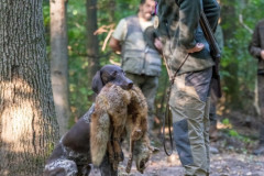 20250907_084400_A1_00956-De