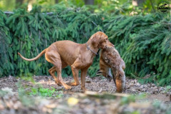 20250907_084527_A1_00989-De