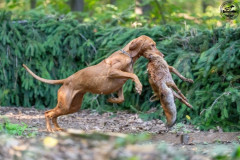 20250907_084527_A1_00994-De