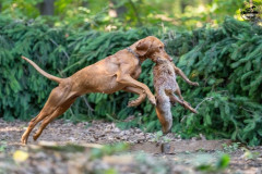 20250907_084528_A1_00996-De