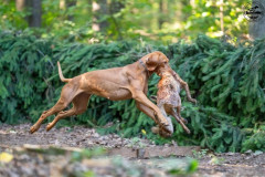 20250907_084528_A1_00998-De