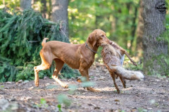 20250907_084528_A1_01014-De