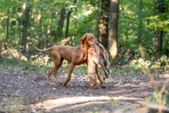 20250907_084529_A1_01051-De