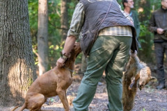 20250907_084533_A1_01100-De