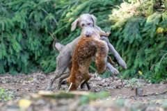 20250907_084758_A1_01125-De