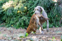 20250907_084758_A1_01151-De