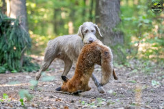 20250907_084759_A1_01174-De