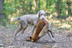 20250907_084800_A1_01194-De