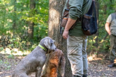 20250907_084805_A1_01229-De