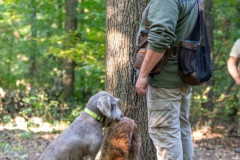 20250907_084805_A1_01233-De