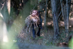 20250907_093644_A1_01389-De