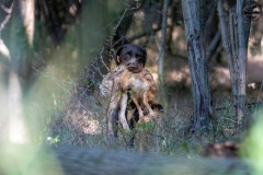 20250907_093645_A1_01394-De