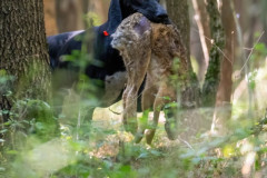 20250907_094432_A1_01572-De