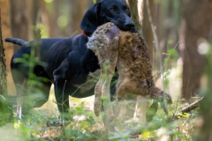 20250907_094432_A1_01576-De